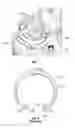 Fig. 05 - Retainer for check valve