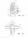 Fig. 11 - VALVE ASSEMBLIES FOR HEATING DEVICES