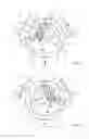 Fig. 02 - Device for controlling or regulating the through-flow amount and/or through-flow direction of fluids