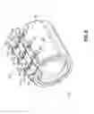 Fig. 08 - Pipe coupling having double-threaded tightening fastener and associated methods