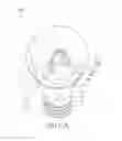 Fig. 22 - LED light bulb and LED filament thereof