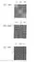 Fig. 23 - Light-emitting apparatus