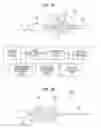 Fig. 27 - Light-emitting apparatus