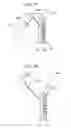 Fig. 60 - Light-emitting apparatus