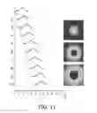 Fig. 09 - Lighting system and method