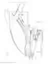 Fig. 08 - Headlamp transport device