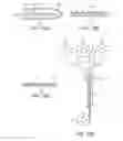 Fig. 15 - Sealed and sealable lighting systems incorporating flexible light sheets and related methods