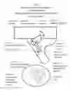 Fig. 05 - Hammer strut support