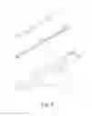 Fig. 05 - Throwing Arm for Throwing Trap