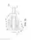 Fig. 17 - Test plug for a pipe elbow