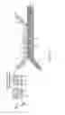 Fig. 07 - Method and device for high-throughput solution exchange for cell and particle suspensions