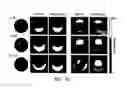 Fig. 10 - Nanoscale optical tomography with cathodoluminescence spectroscopy
