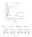 Fig. 06 - Compounds and conjugates for identifying and separating post-translationally modified analytes