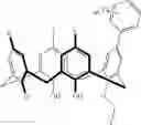 Fig. 24 - Compounds and conjugates for identifying and separating post-translationally modified analytes
