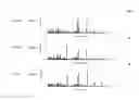 Fig. 08 - Method of and apparatus for formulating multicomponent drug