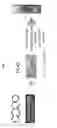 Fig. 02 - Method and kit for detecting lead in a solid sample
