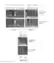 Fig. 33 - NOVEL CELL LINES AND METHODS