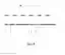 Fig. 40 - NOVEL CELL LINES AND METHODS