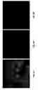 Fig. 08 - Antigen detection using photocleavable labels