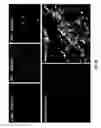Fig. 24 - Antigen detection using photocleavable labels