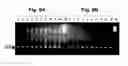 Fig. 10 - Rapid detection of the “high virulent” ST-17 clone of group B 