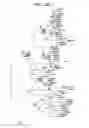 Fig. 05 - Detection methods employing HCV core lipid and DNA binding domain monoclonal antibodies