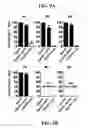 Fig. 08 - Detection methods employing HCV core lipid and DNA binding domain monoclonal antibodies