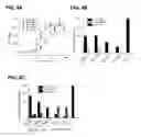 Fig. 05 - IL-17F-specific capture agents, compositions, and methods of using and making