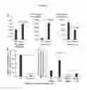 Fig. 02 - Methods for Diagnosing and Treating Iron Dysregulation