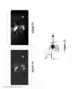 Fig. 04 - Optimized wavelength photon emission microscope for VLSI devices