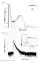 Fig. 04 - Neutron scintillator and neutron detector