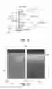 Fig. 04 - LIGHT SHIELD USING INTEGRATED LIGHTING TO CREATE OPACITY AND PRIVACY IN WINDOWS