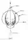 Fig. 12 - Illumination module