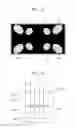 Fig. 04 - Curved backlight unit and curved display apparatus including the same