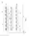 Fig. 04 - Light bar for back light unit containing resistance modulated LED strings