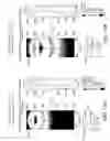 Fig. 28 - Wall wash luminaire with light guide and optical element therefore