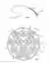 Fig. 02 - Optical fiber bundle