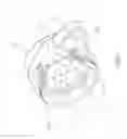 Fig. 05 - Illumination device for Magnifier