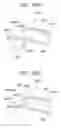 Fig. 25 - Bezel body including a light guide member and vehicular display device including the bezel body