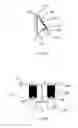 Fig. 09 - Loupe attachment apparatus and system