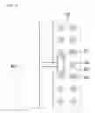 Fig. 22 - Liquid crystal display having an opening in a light shielding pattern and method of manufacturing the same