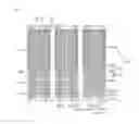 Fig. 03 - Curved liquid crystal display and method of manufacturing the same