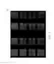 Fig. 05 - Liquid crystal display panel and liquid crystal alignment method thereof