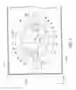 Fig. 04 - Discharge lamp, light source device, and projector