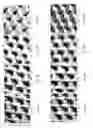 Fig. 03 - Method of creating hybrid printing dots in a flexographic printing plate