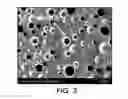 Fig. 04 - STABILIZING POLYMERS TO CONTROL PASSIVE LEAKING OF FUNCTIONAL MATERIALS FROM DELIVERY MEMBERS