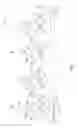 Fig. 02 - Developing apparatus