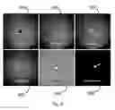 Fig. 10 - System, apparatus and method for using birefringent lenses to create holograms from received electromagnetic radiation