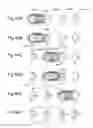 Fig. 44 - MODULARIZED SELF-ADDRESSING APPARATUS AND METHOD