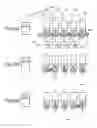 Fig. 45 - MODULARIZED SELF-ADDRESSING APPARATUS AND METHOD